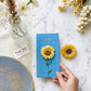 Aroma Flower Soap – Pack of 2 | Luxury Gift Set